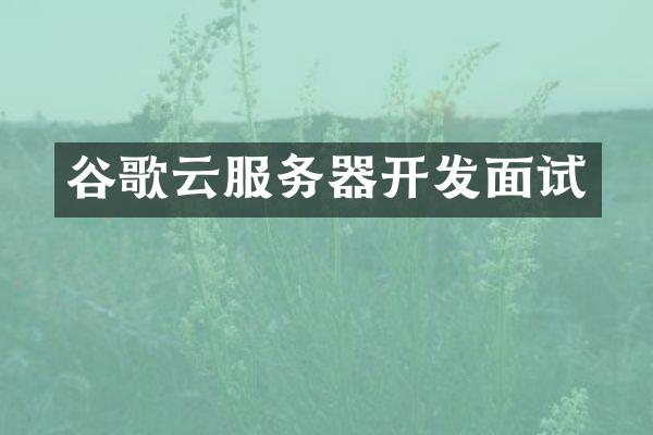 谷歌云服务器开发面试