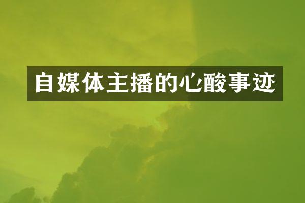 自媒体主播的心酸事迹