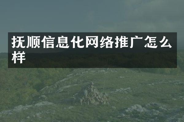 抚顺信息化网络推广怎么样