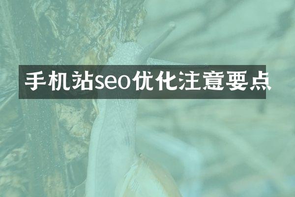 手机站seo优化注意要点