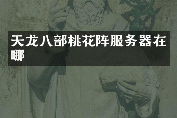 天龙八部桃花阵服务器在哪