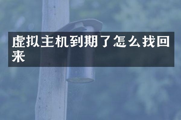 虚拟主机到期了怎么找回来