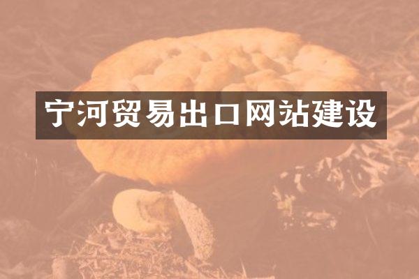 宁河贸易出口网站建设
