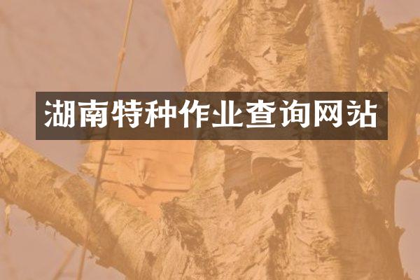 湖南特种作业查询网站