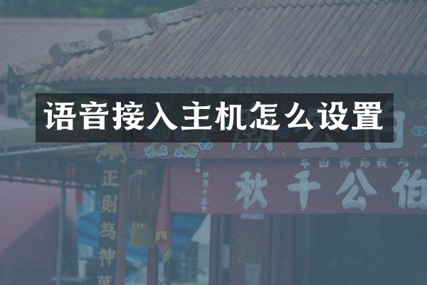 语音接入主机怎么设置