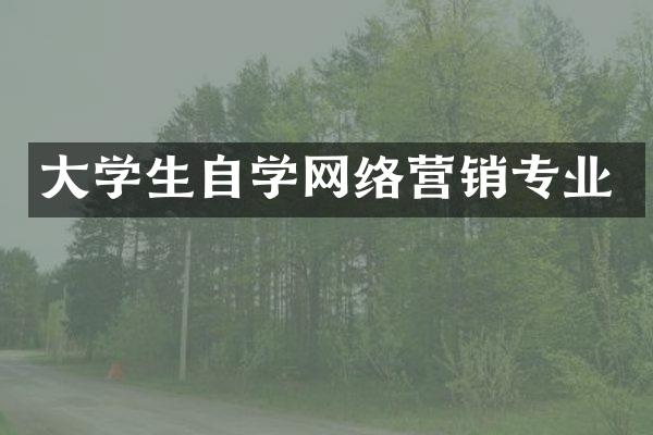 大学生自学网络营销专业