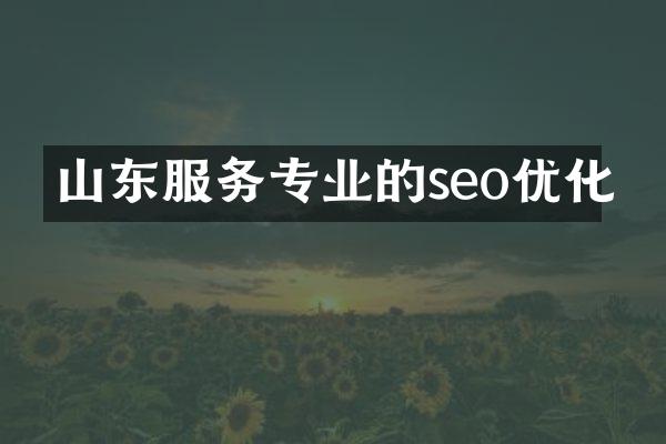 山东服务专业的seo优化