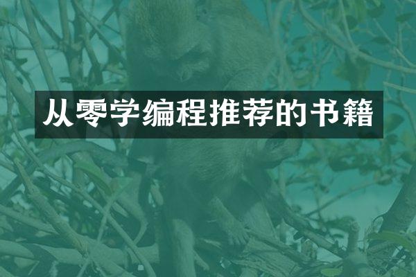 从零学编程推荐的书籍