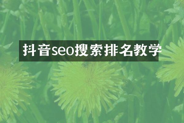 抖音seo搜索排名教学