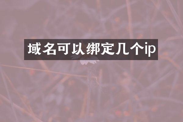 域名可以绑定几个ip