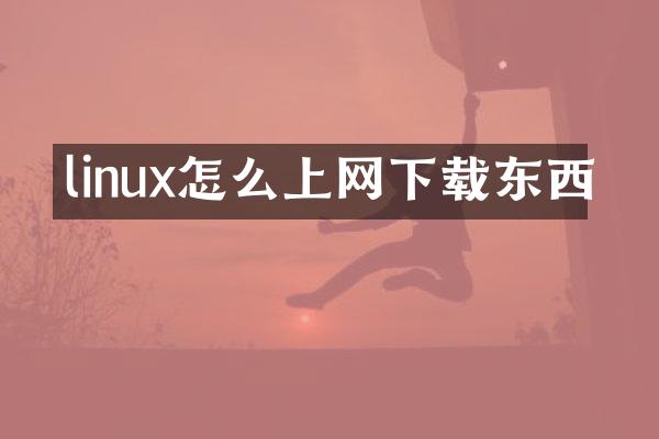 linux怎么上网下载东西