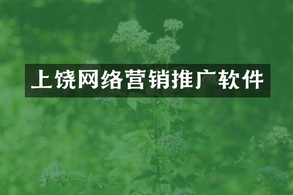 上饶网络营销推广软件