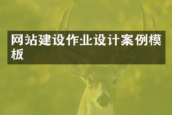 网站建设作业设计案例模板