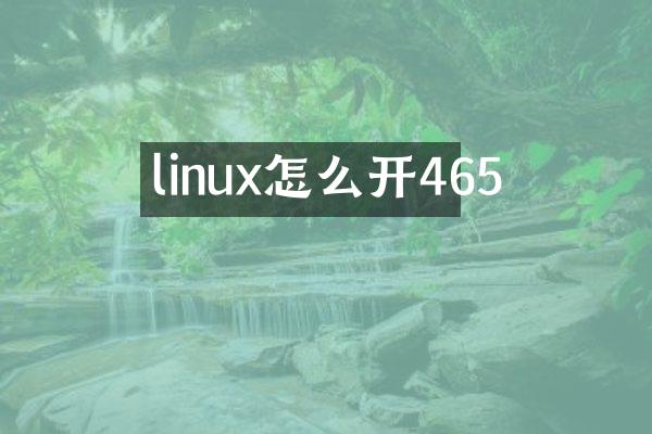 linux怎么开465
