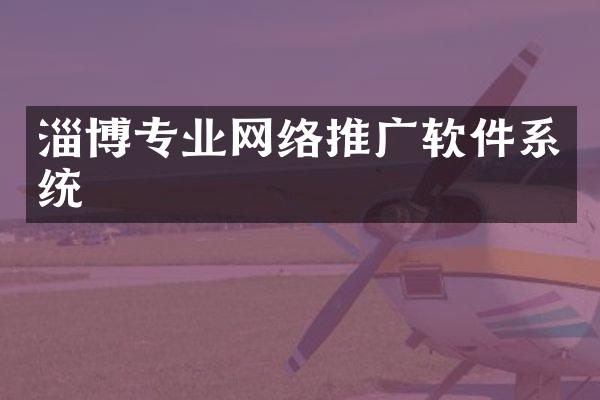 淄博专业网络推广软件系统