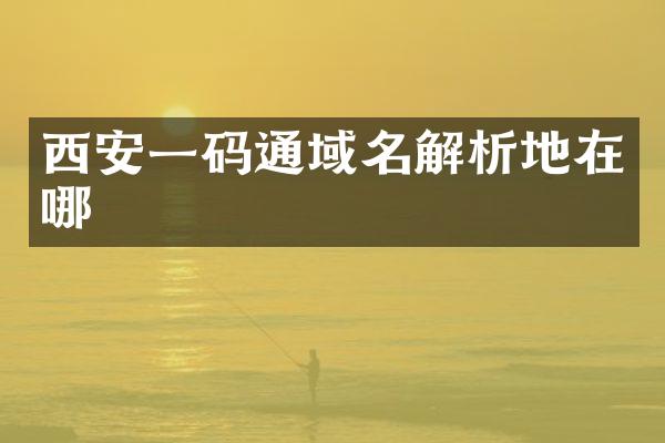 西安一码通域名解析地在哪