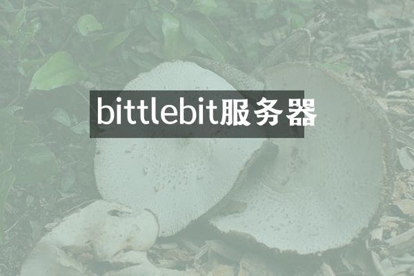 bittlebit服务器