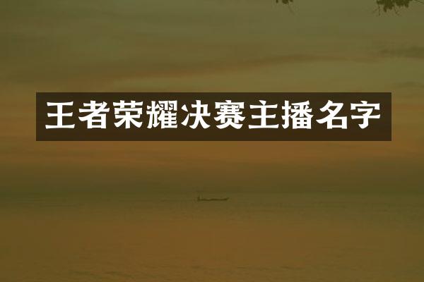 王者荣耀决赛主播名字