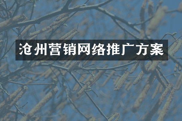 沧州营销网络推广方案