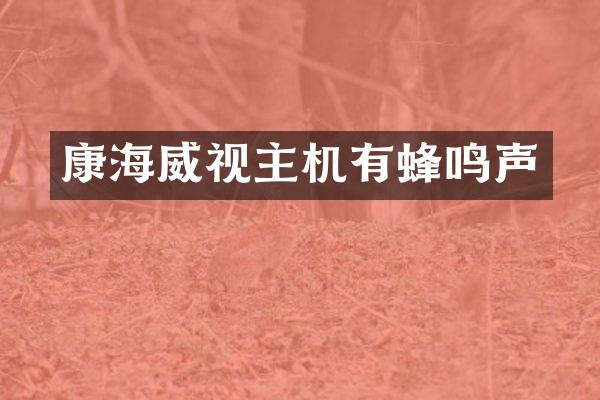 康海威视主机有蜂鸣声