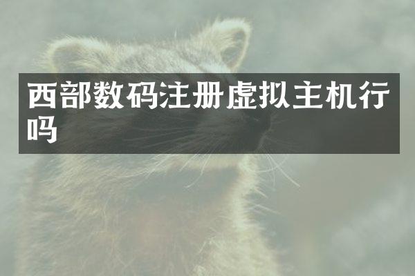 西部数码注册虚拟主机行吗