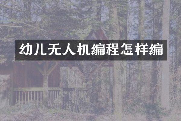 幼儿无人机编程怎样编