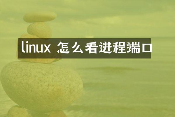 linux 怎么看进程端口