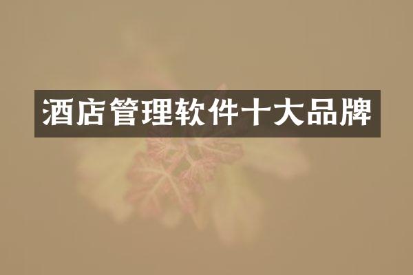 酒店管理软件十大品牌