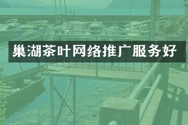 巢湖茶叶网络推广服务好
