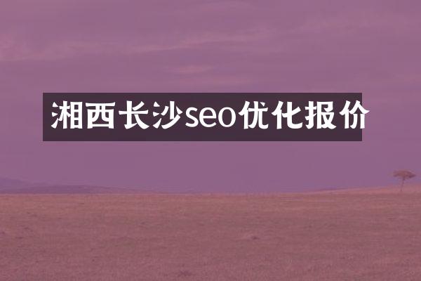 湘西长沙seo优化报价