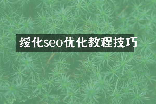 绥化seo优化教程技巧