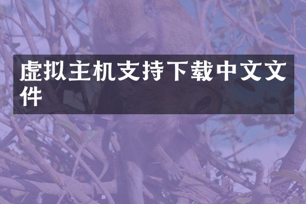 虚拟主机支持下载中文文件