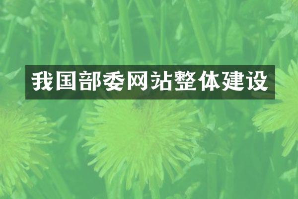 我国部委网站整体建设