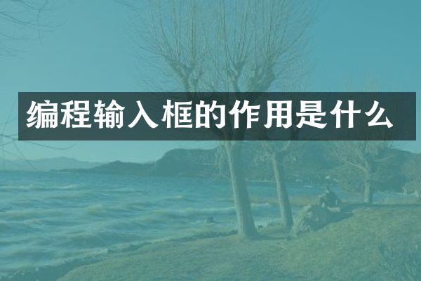 编程输入框的作用是什么