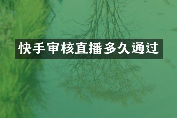 快手审核直播多久通过
