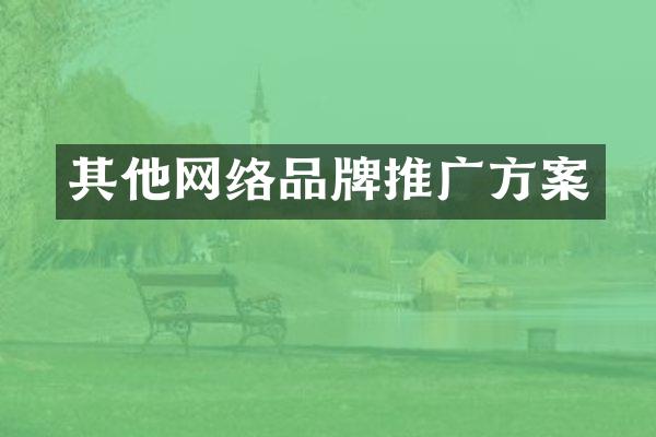 其他网络品牌推广方案