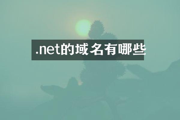.net的域名有哪些