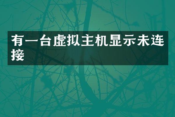 有一台虚拟主机显示未连接