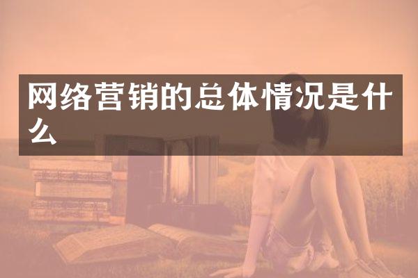 网络营销的总体情况是什么