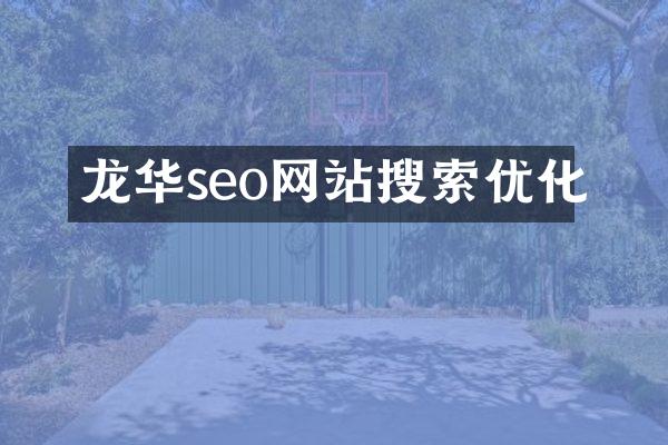 龙华seo网站搜索优化