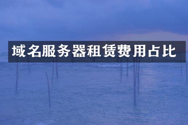 域名服务器租赁费用占比