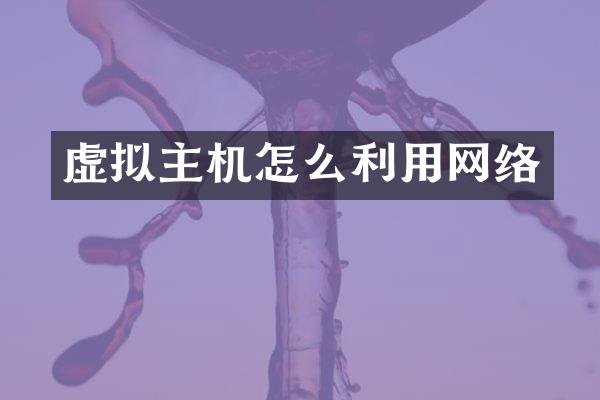 虚拟主机怎么利用网络