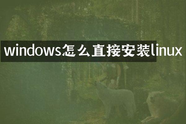 windows怎么直接安装linux