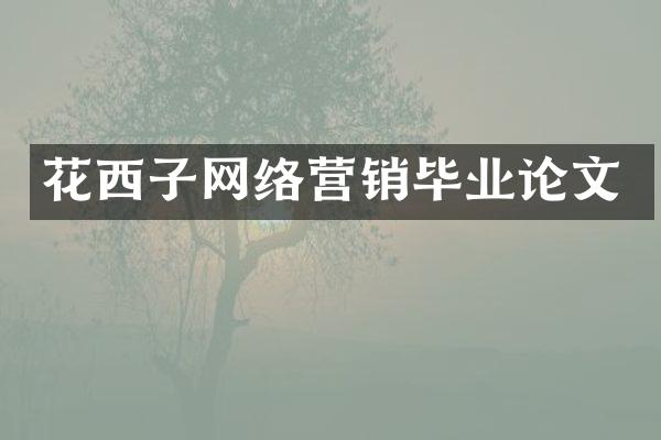 花西子网络营销毕业论文