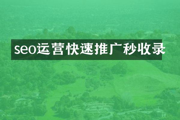 seo运营快速推广秒收录