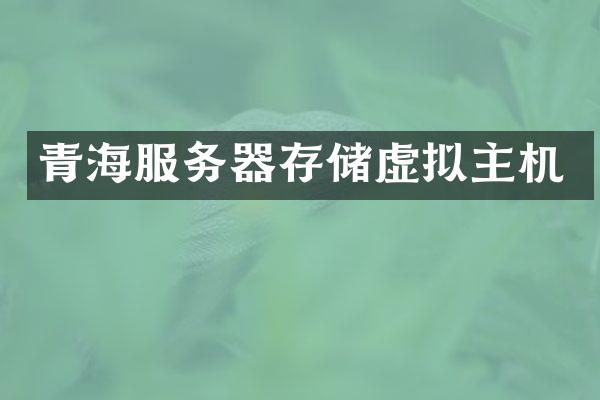 青海服务器存储虚拟主机