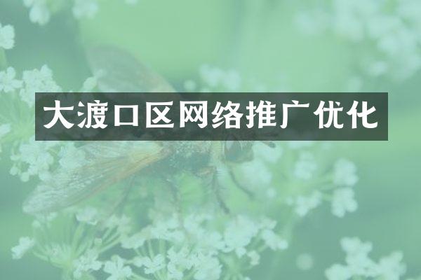 大渡口区网络推广优化