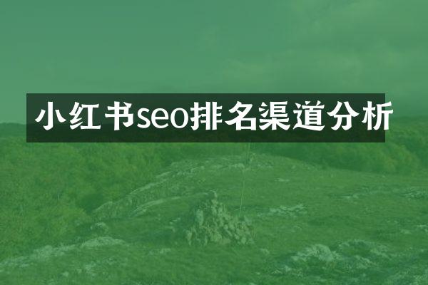 小红书seo排名渠道分析