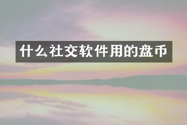 什么社交软件用的盘币