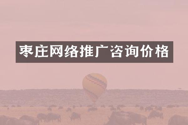 枣庄网络推广咨询价格